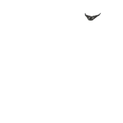 T-Shirt With Wing Print