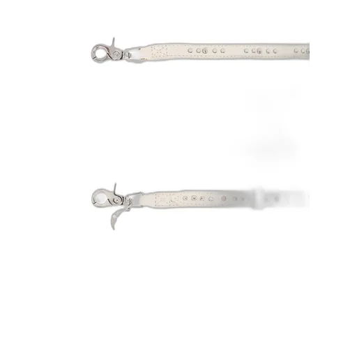 Strap