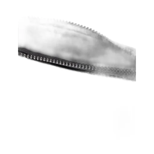 Cardholder With Studs
