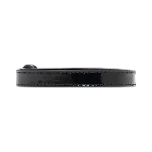 Belt With Wing Buckle