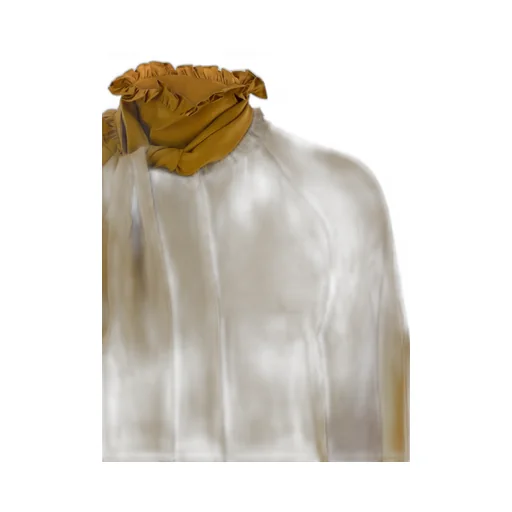Ruffled Neck Tie Blouse