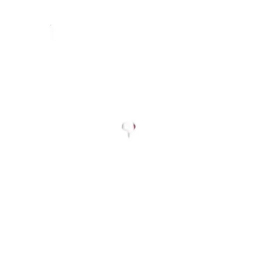 High-Waisted Wide-Leg Trousers