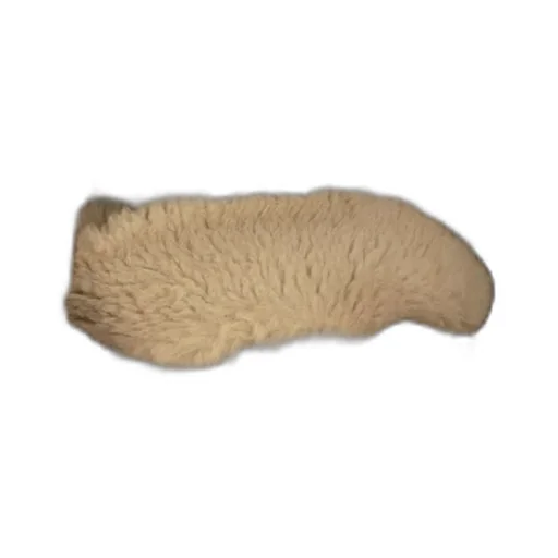 Teddy Coat
