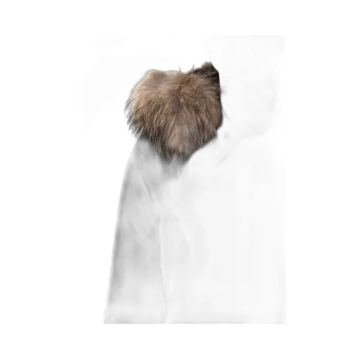 Parka With Fur Hood