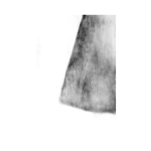 Asymmetric Ruffle Skirt
