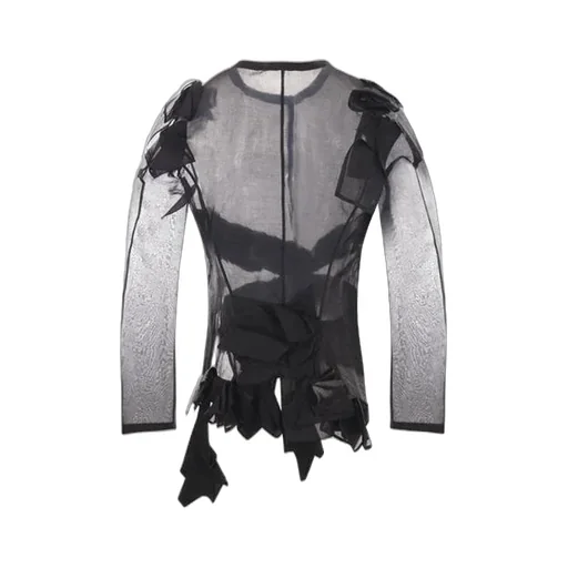 Sheer Long Sleeve Top
