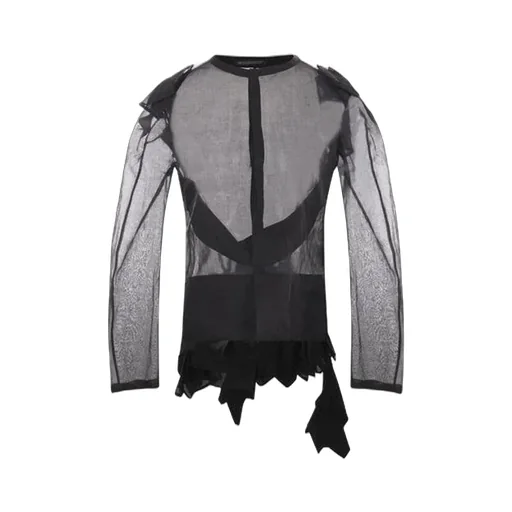 Sheer Long Sleeve Top
