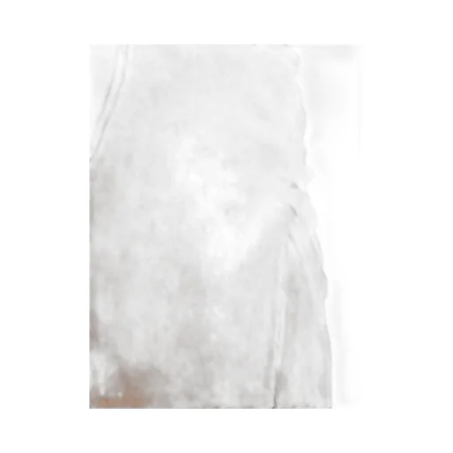 Ruched Maxi Skirt