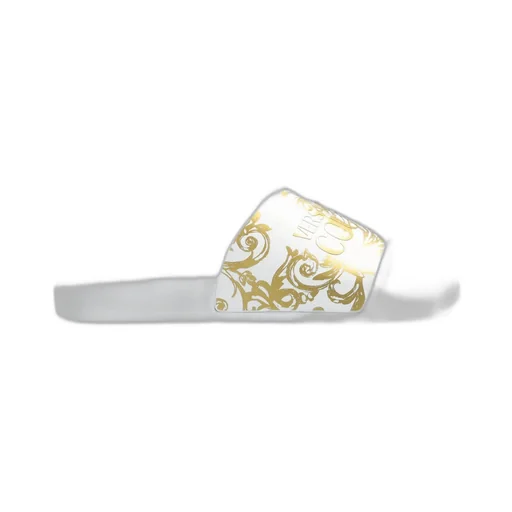Slides