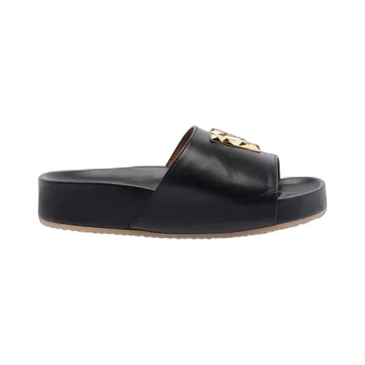 Platform Slides