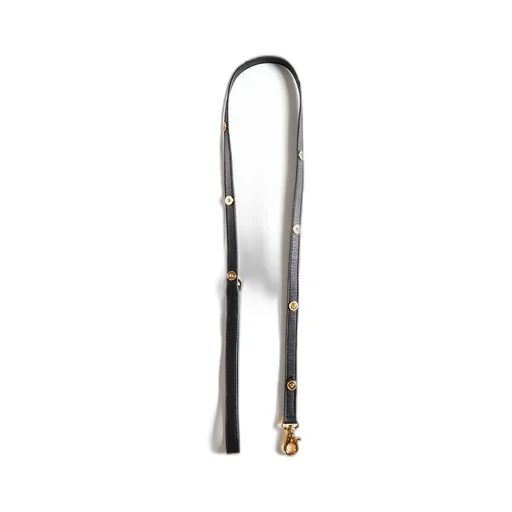 Studded Leather Leash