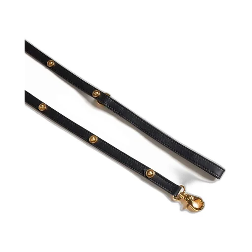Studded Leather Leash