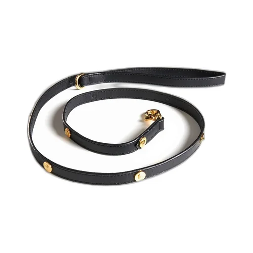 Studded Leather Leash
