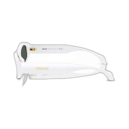 Rectangular Sunglasses