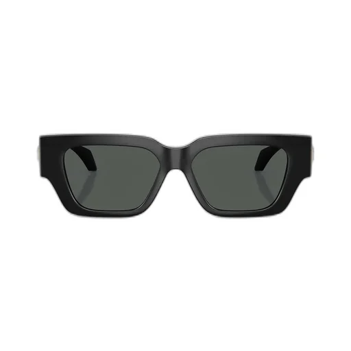 Rectangular Sunglasses
