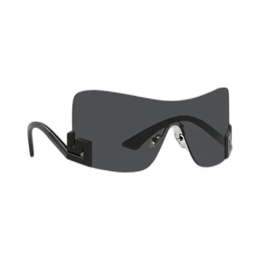Shield Sunglasses