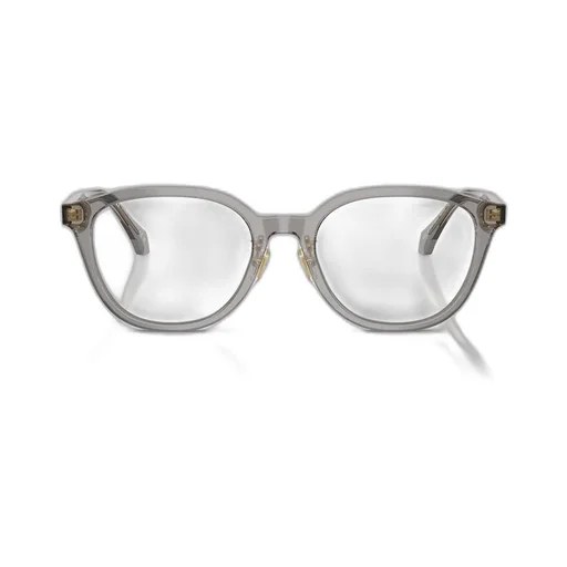 Optical Glasses