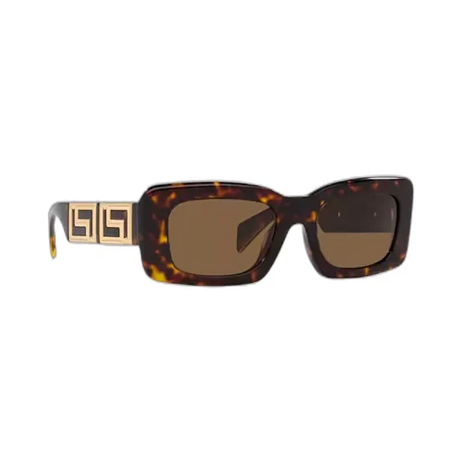 Rectangular Sunglasses