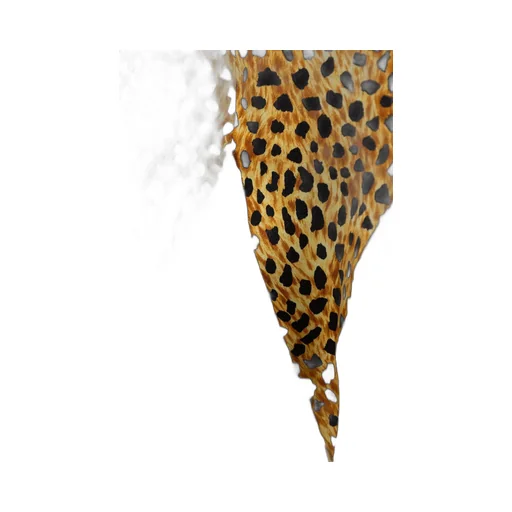 Leopard Print Slip Dress With Lace Trim