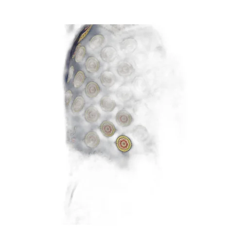 Paisley Print Silk Shirt