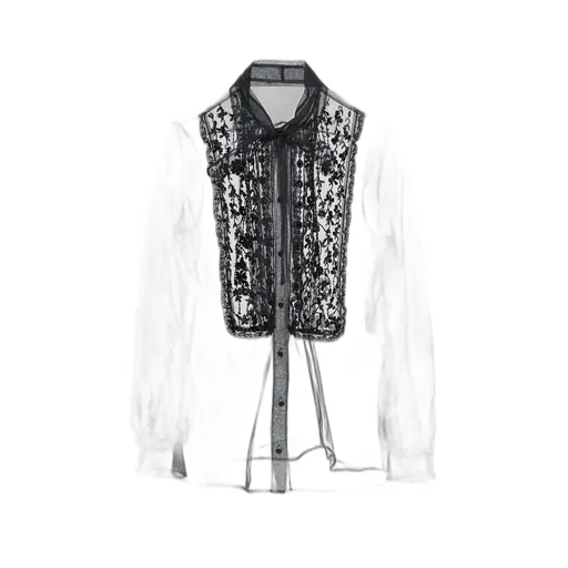 Sheer Embellished Blouse