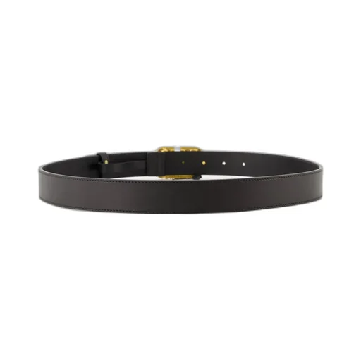 Vlogo Belt
