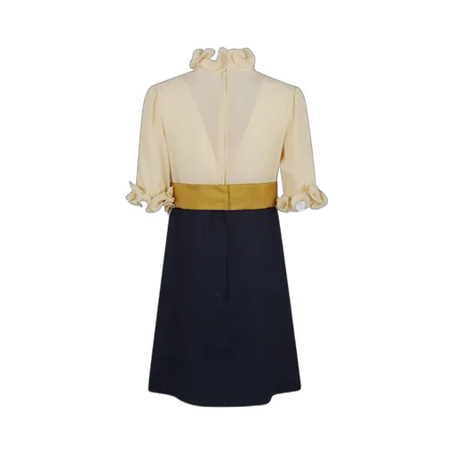 Ruffled Neck Dress