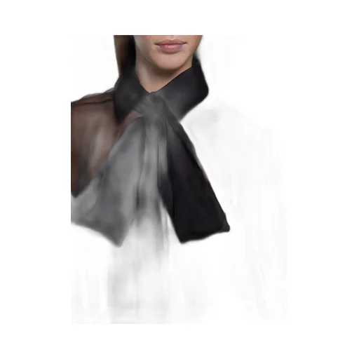 Sheer Shirt With Bow