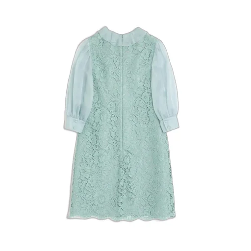 Lace Dress With Ruffled Neckline