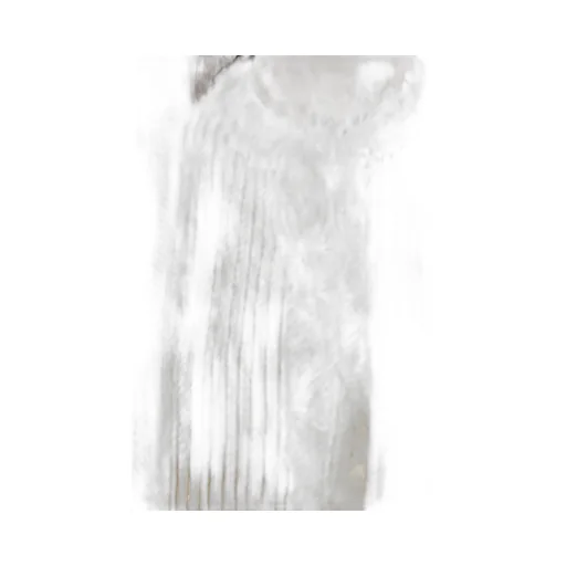 Ruffle Trim Blouse