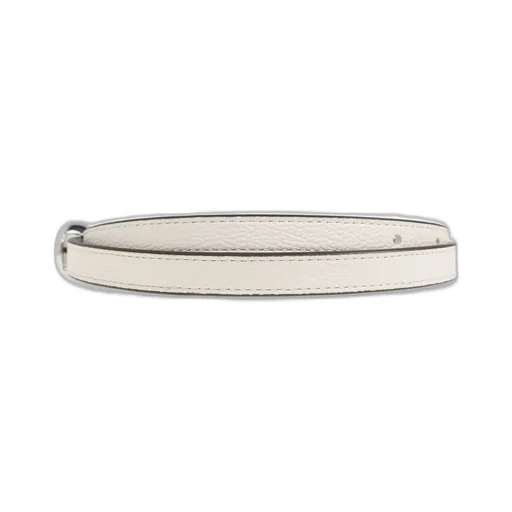 Reversible Belt