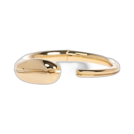 Bangle
