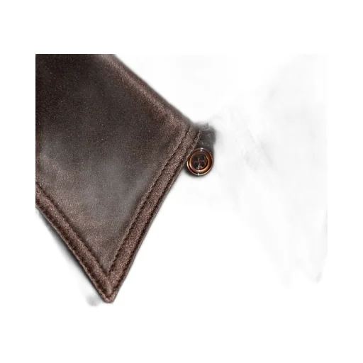 Long-Sleeved Polo Shirt
