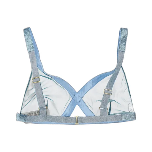 Sheer Mesh Bra