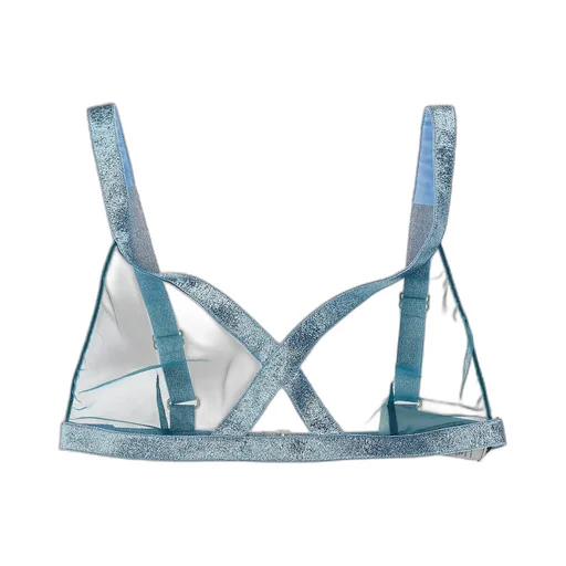 Sheer Mesh Bra