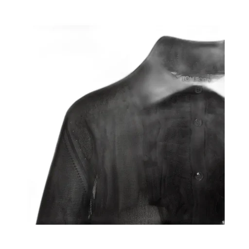 Sheer Ruffle Shirt