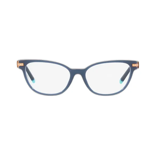 Cat-Eye Glasses