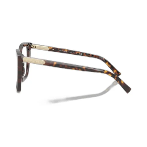 Square Eyeglasses