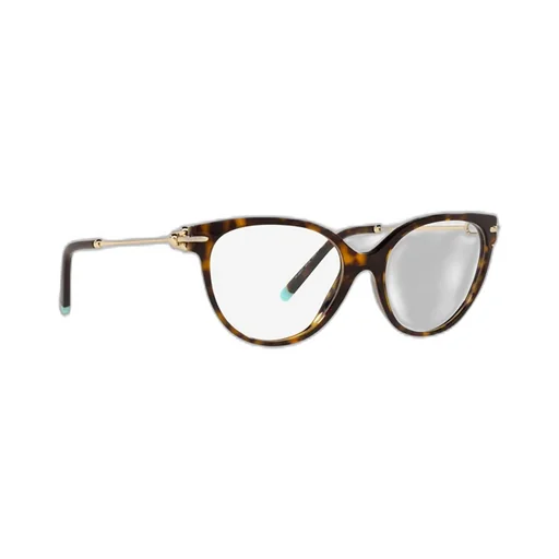 Cat-Eye Optical Glasses