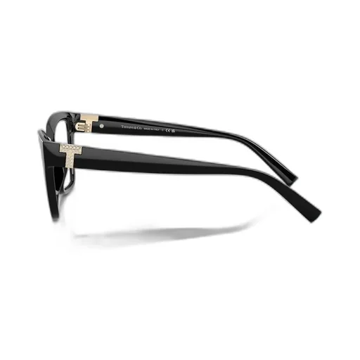 Square Eyeglasses