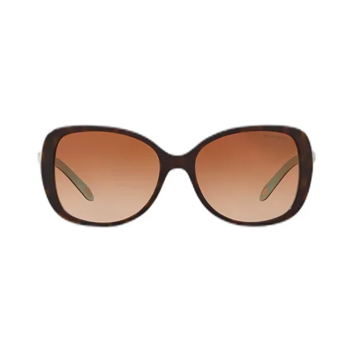 Oversized Butterfly Sunglasses