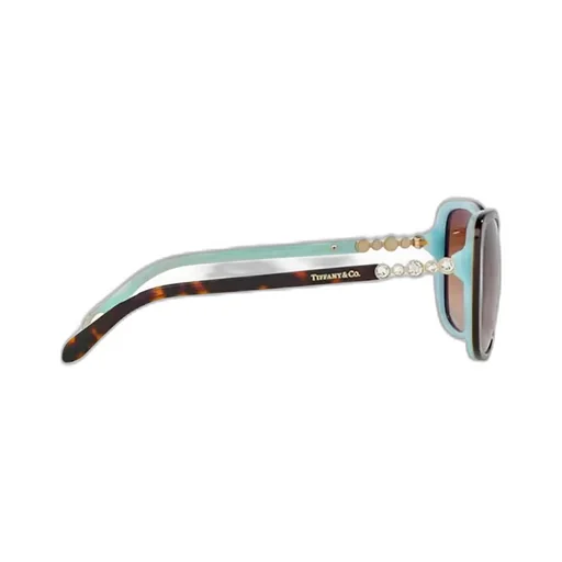 Oversized Butterfly Sunglasses