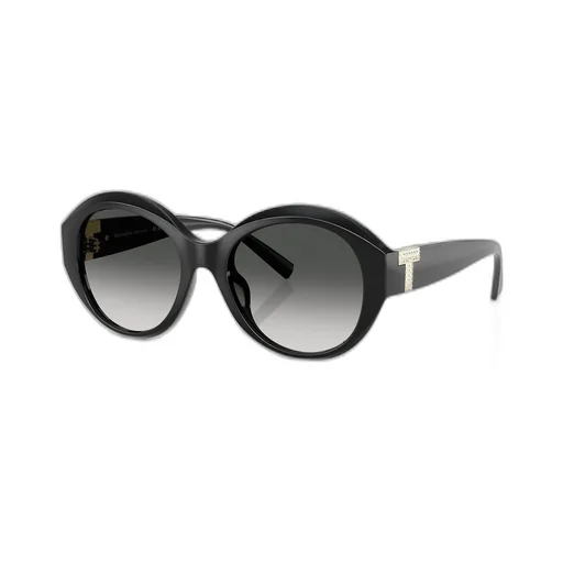 Oversized Sunglasses