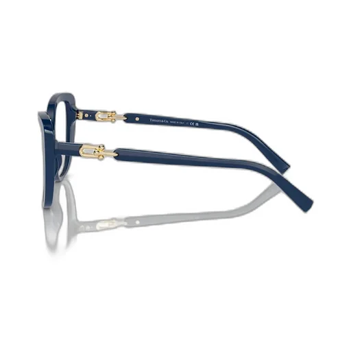 Cat-Eye Glasses
