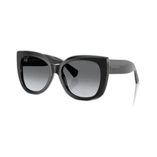 Cat Eye Sunglasses