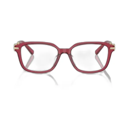 Rectangular Eyeglasses