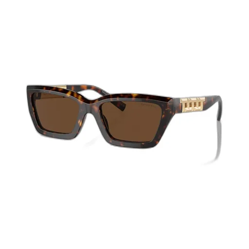 Rectangular Sunglasses