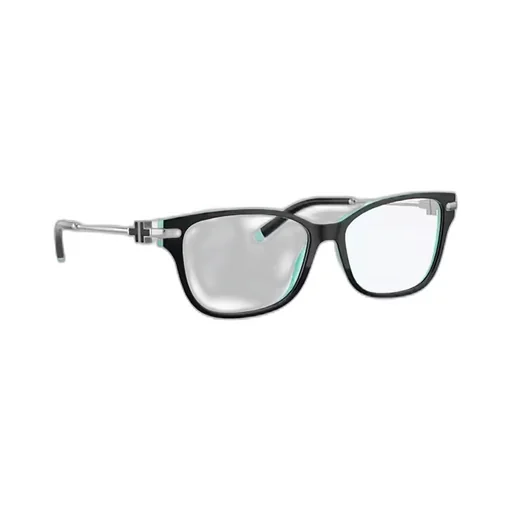 Eyeglasses