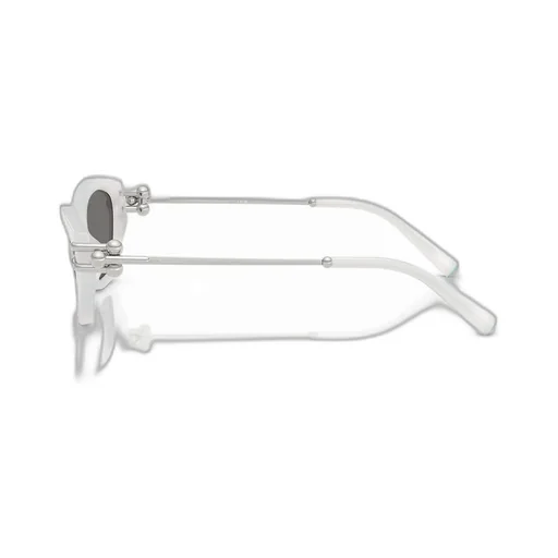 Cat Eye Sunglasses