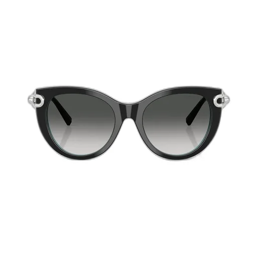 Cat-Eye Sunglasses